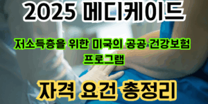 2025 메디케이드 자격 요건 총정리 라는 문구가 적힌 썸네일 이미지