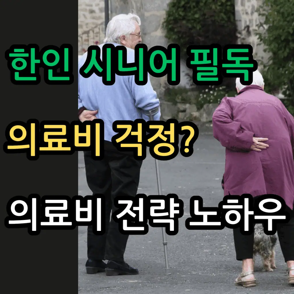 의료비 걱정이 있는 한인 시니어들을 위한 썸네일 이미지. 두 명의 노인이 길을 걷고 있으며, "한인 시니어 필독", "의료비 걱정?", "의료비 전략 노하우"라는 문구가 강조되어 있음.